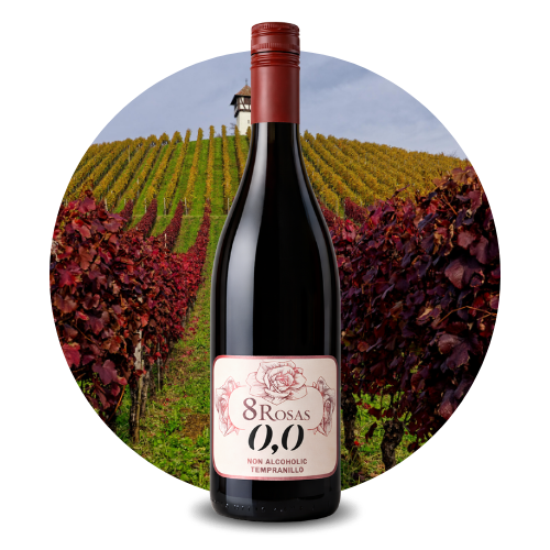 VYB Alcohol free 0.0 CATEGORÍAS