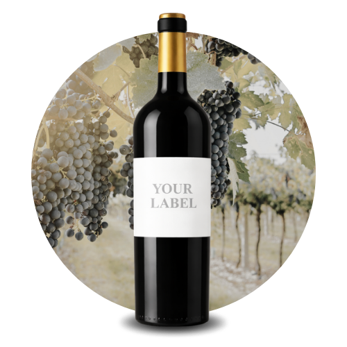 VYB Private Label CATEGORÍAS