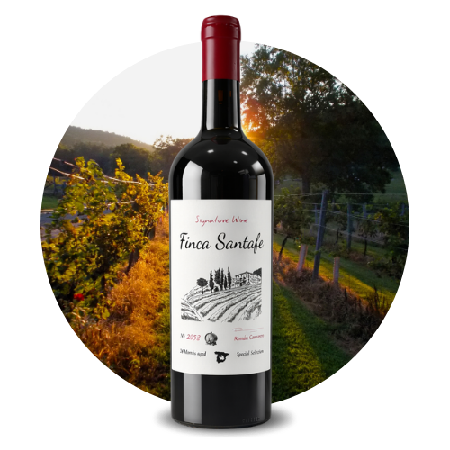 VYB Signature Wine CATEGORÍAS