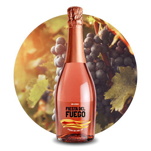 VYB Sparkling grape juice drink CATEGORÍAS