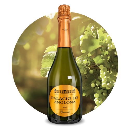 VYB Sparkling wine CATEGORÍAS